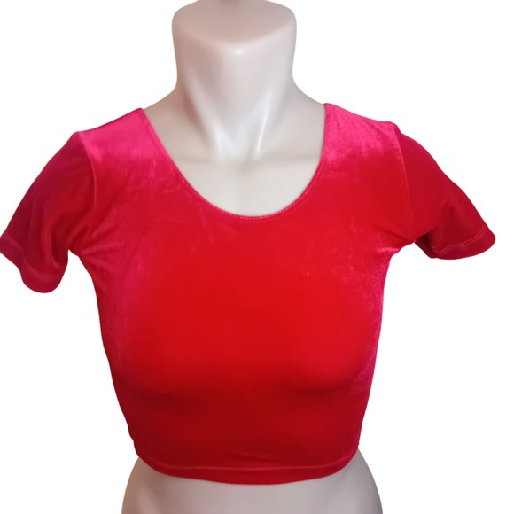 American Apparel Tops - NWT Y2K American Apparel Velvet Crop Top Short Sleeve Tee Shirt Bloody Red‎ XS